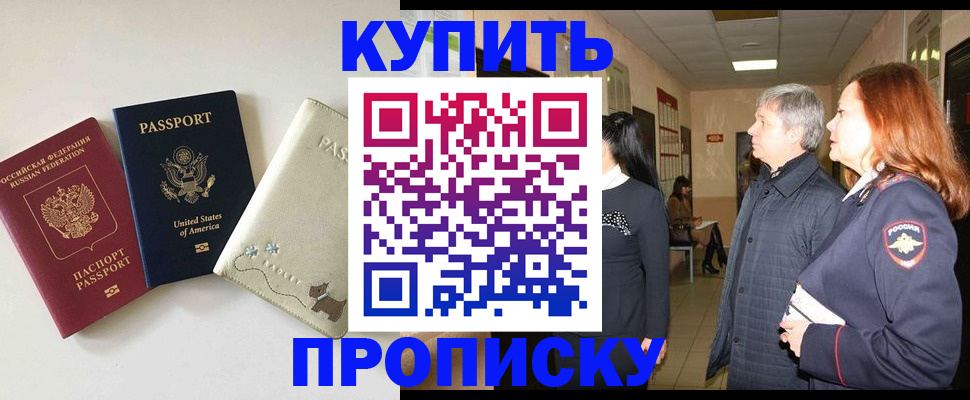 где прописаться в Звенигово